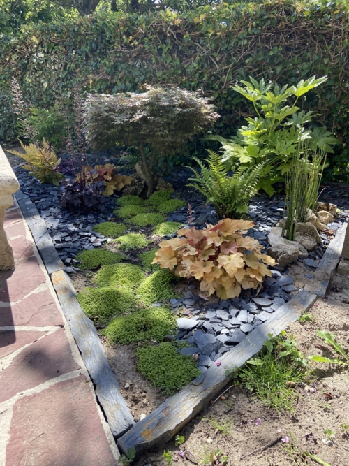 Création d'espaces vert à Compiègne