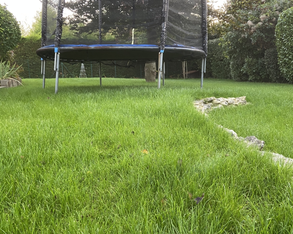 Engazonnement à Compiègne