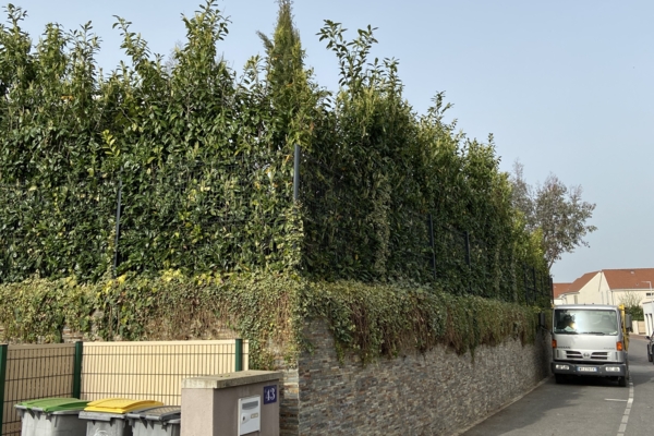 Entretien d'espace vert à Compiègne