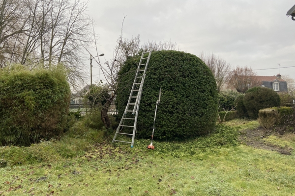Entretien d'espace vert à Compiègne