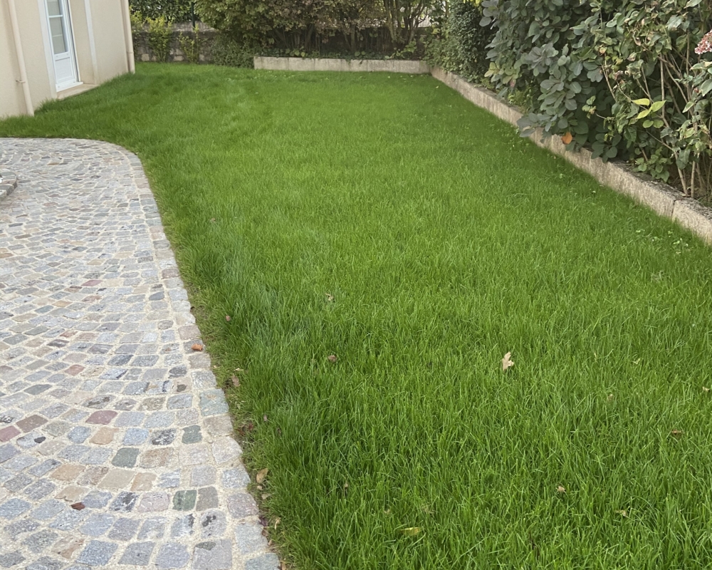 Engazonnement à Compiègne